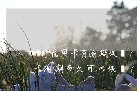 中行信用卡有逾期恢復(fù)(之前有信用卡逾期多久可以恢復(fù)征信)