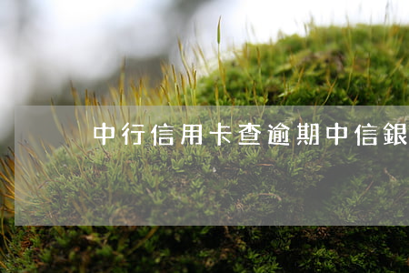 中行信用卡查逾期(中信銀行 信用卡 逾期)