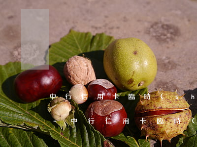 中行信用卡臨時(shí)額度逾期20天-中行信用卡臨時(shí)額度逾期20天怎么辦