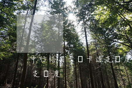 中行信用卡贊卡透支額度(中信銀行信用卡透支額度)