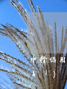 中行信用卡透支多長(zhǎng)時(shí)間(銀行信用卡透支多長(zhǎng)時(shí)間還款)