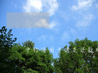 中行信用卡透支还款时间