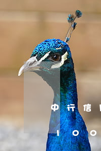 中行信用卡逾期1000元(中行信用卡逾期1000元一個(gè)月多少利息和罰息)