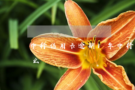 中行信用卡逾期1年(中行信用卡逾期1年怎么還)