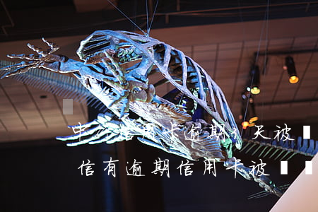 中行信用卡逾期3天被凍結(jié)了(征信有逾期信用卡被凍結(jié))