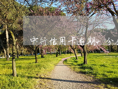 中行信用卡逾期4分会上报吗