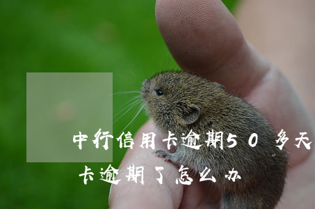 中行信用卡逾期50多天-中国银行的信用卡逾期了怎么办