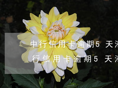 中行信用卡逾期5天滯納金和利息咋算-中行信用卡逾期5天滯納金和利息咋算的