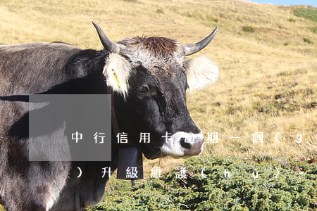 中行信用卡逾期一個(gè)小時(shí)升級維護(hù)-中行信用卡逾期一個(gè)小時(shí)升級維護(hù)要多久
