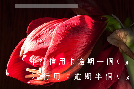 中行信用卡逾期一個(gè)月恢復(fù)(行用卡逾期半個(gè)月)