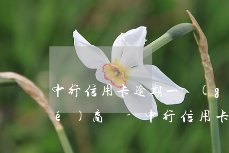 中行信用卡逾期一個(gè)月能協(xié)商嗎-中行信用卡逾期一個(gè)月能協(xié)商嗎還款