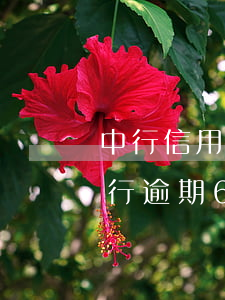 中行信用卡逾期一個(gè)月解凍(中國銀行逾期6個(gè)月嚴(yán)重逾期解凍成功的)