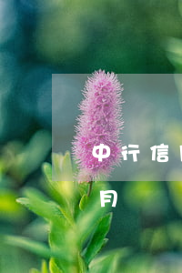 中行信用卡逾期一個月后果(行用卡逾期半個月)