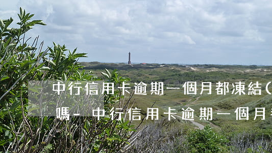 中行信用卡逾期一個月都凍結(jié)卡嗎-中行信用卡逾期一個月都凍結(jié)卡嗎怎么辦