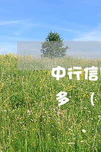 中行信用卡逾期一千多 中行信用卡逾期一千多會(huì)怎么樣