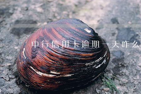 中行信用卡逾期一天咋么辦(信用卡逾期一天)