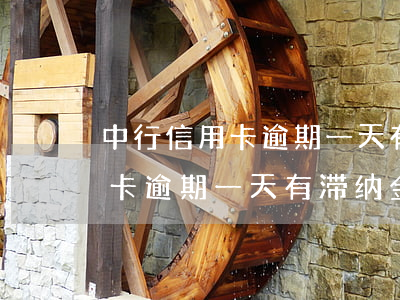 中行信用卡逾期一天有滞纳金吗-中行信用卡逾期一天有滞纳金吗多少钱