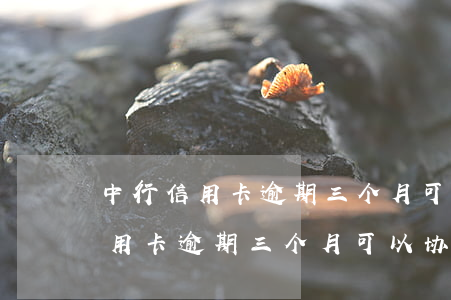 中行信用卡逾期三个月可以协商吗-中行信用卡逾期三个月可以协商吗还款