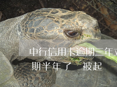 中行信用卡逾期三年立案(中信銀行信用卡逾期半年了會被起訴嗎)