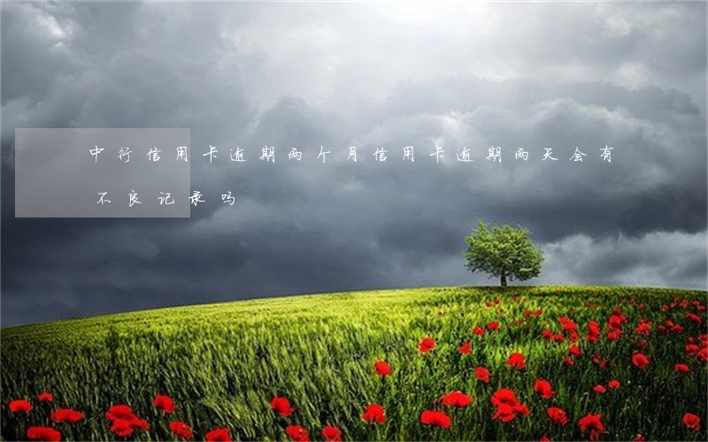 中行信用卡逾期两个月(信用卡逾期两天会有不良记录吗)