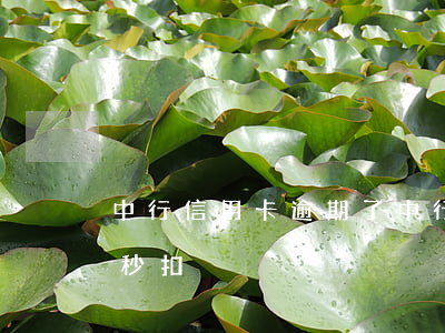 中行信用卡逾期了(中行信用卡逾期了會不會秒扣)