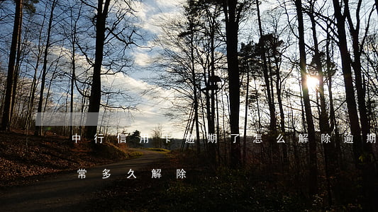 中行信用卡逾期了怎么解除(逾期后信用卡異常多久解除)
