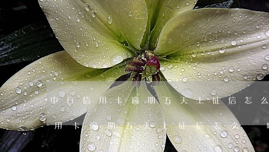 中行信用卡逾期五天上征信怎么辦-中行信用卡逾期五天上征信怎么辦啊