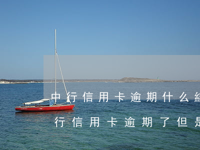 中行信用卡逾期什么結(jié)果(中國銀行信用卡逾期了 但是卡片顯示正常)