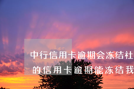 中行信用卡逾期会冻结社会保障卡(中国银行的信用卡逾期能冻结我其他银行卡吗)
