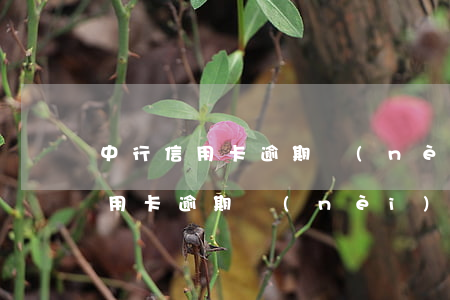 中行信用卡逾期內(nèi)容圖片(中行信用卡逾期內(nèi)容圖片)