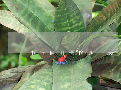 中行信用卡逾期兩天了(中國銀行 信用卡 逾期)
