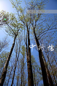 中行信用卡逾期八个月解冻(银行卡逾期解冻)