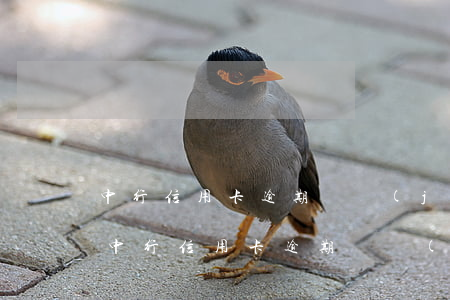 中行信用卡逾期凍結(jié)還能開通嗎(中行信用卡逾期凍結(jié)還能開通嗎現(xiàn)在)