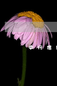 中行信用卡逾期十天严重吗