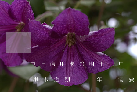 中行信用卡逾期十幾年還需要還嗎-中行信用卡逾期十幾年還需要還嗎多少錢