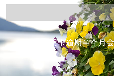 中行信用卡逾期半个月会封卡吗