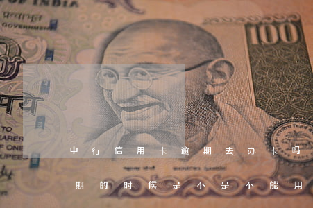 中行信用卡逾期去办卡吗(中信银行信用卡逾期的时候是不是不能用)
