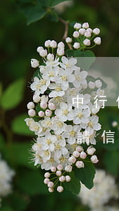 中行信用卡逾期可以嗎-銀行有逾期可以申請信用卡嗎