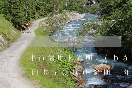 中行信用卡逾期報(bào)案(中信銀行信用卡5000逾期一年起訴)
