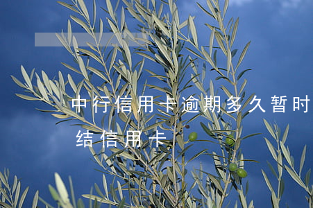 中行信用卡逾期多久暂时冻结(逾期多久会冻结信用卡)