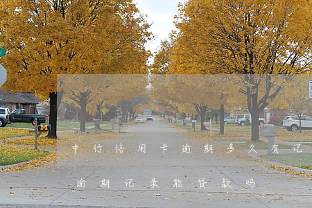 中行信用卡逾期多久有记录(前几年信用卡有逾期记录能贷款吗)