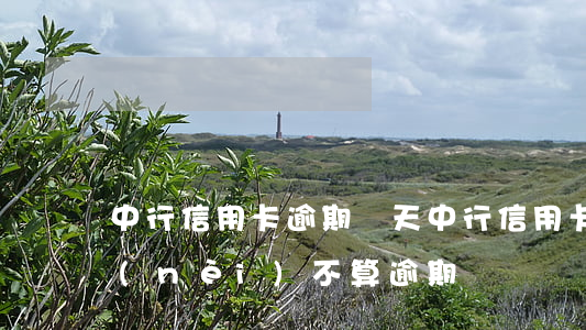 中行信用卡 逾期幾天(中行信用卡逾期幾天內(nèi)不算逾期)