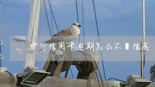 中行信用卡逾期怎么不來信息