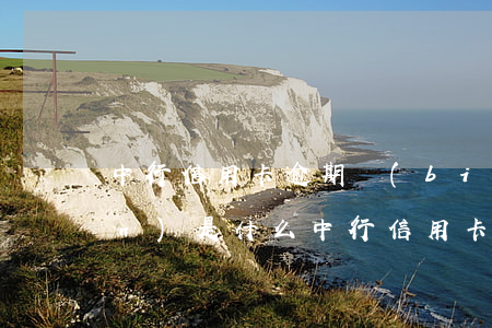 中行信用卡逾期標(biāo)準(zhǔn)是什么（中行信用卡逾期標(biāo)準(zhǔn)）