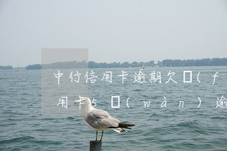 中行信用卡逾期欠費(fèi)40(中信信用卡5萬(wàn)逾期半年)