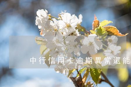 中行信用卡逾期異常還能換新卡