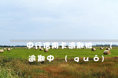 中行信用卡逾期被凍結(jié)了(信用卡逾期,中國(guó)銀行儲(chǔ)蓄卡會(huì)被凍結(jié)嗎?)