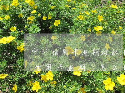 中行信用卡逾期被起訴后怎么辦 中國銀行的信用卡逾期了怎么辦