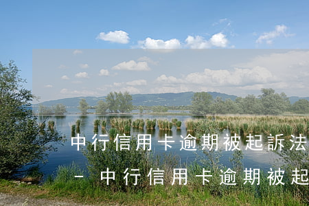 中行信用卡逾期被起訴法院會減免違約金嗎-中行信用卡逾期被起訴法院會減免違約金嗎知乎