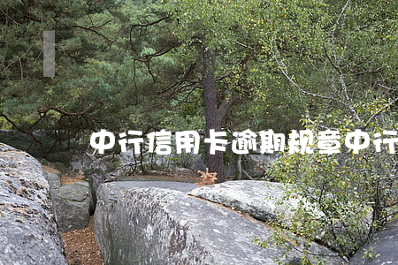 中行信用卡逾期规章(中行信用卡逾期规章)